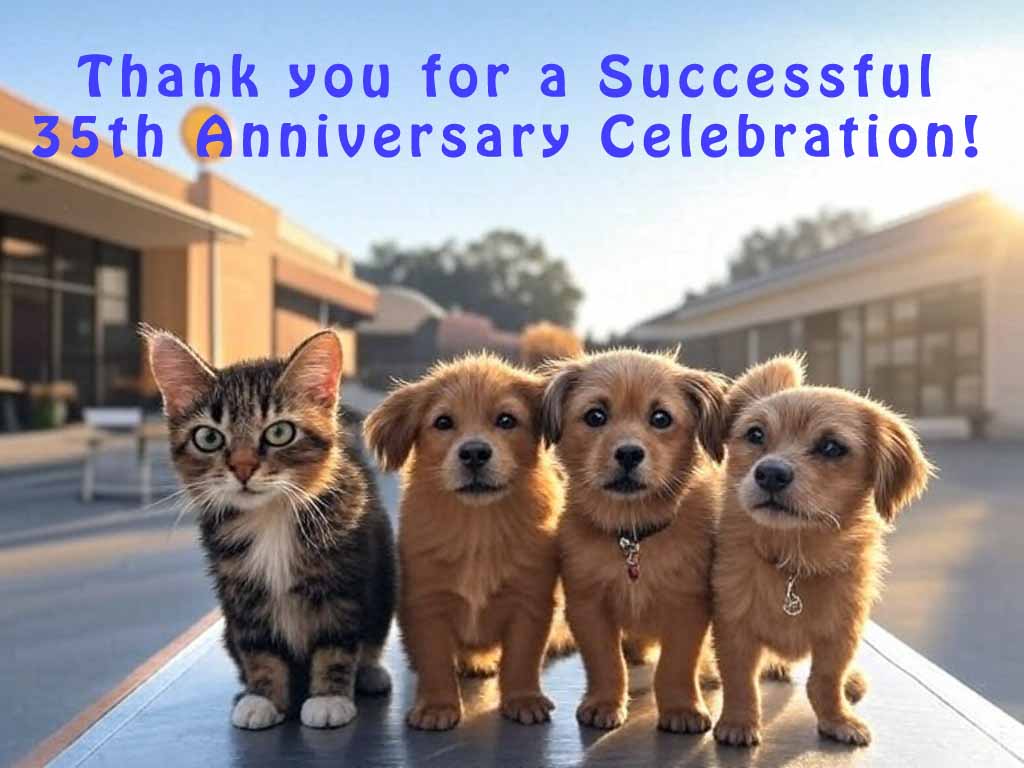 Ayr Animal Hospital 35th Anniversary Thanks You